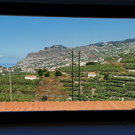 Villa Nova Madeira In Funchal Casa A And B Oda fotoğraf
