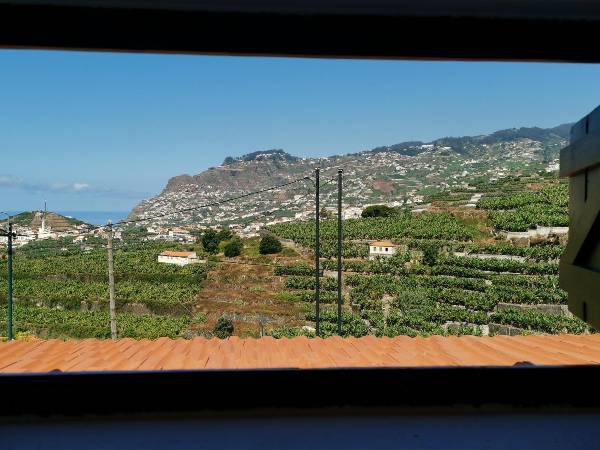 Villa Nova Madeira In Funchal Casa A And B Oda fotoğraf